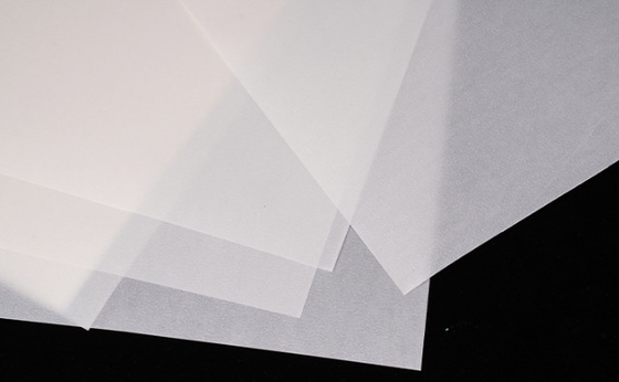 Separator Cleanroom Tyvek/Separator Paper Moisture Resistant -70°C To 121°C Separator Function Separator